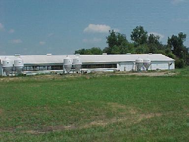 Hog barn