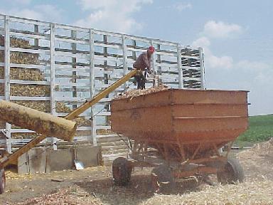 Corn shredder