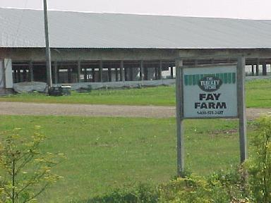 Turkey farm