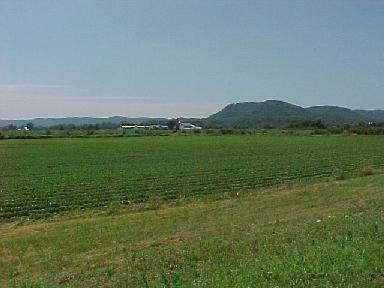 Minnesota countryside