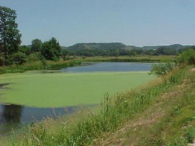 Minnesota countryside