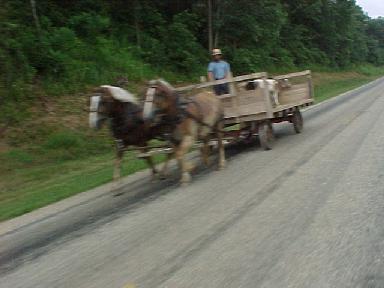 Amish cart