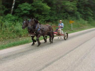 Amish cart