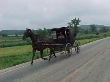 Amish cart