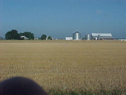 Field of hay