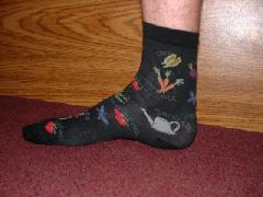 sock of the day