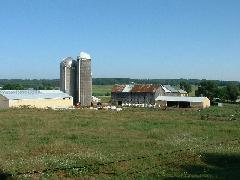Typical dairy farm