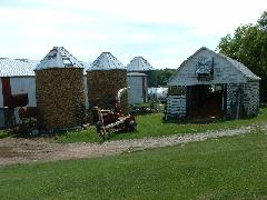dairy farm with 2 full corn cribs