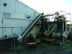 processing stringbeans