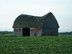 saddle back barn