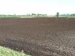 rich dark soil on an Amish farm