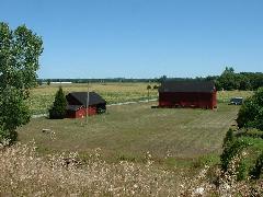 scenic view of a corn field and barns
