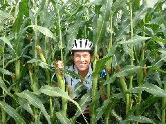 me in corn