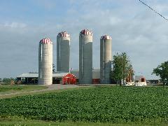 huge corn and soybean farm