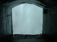 viewing portal behind the Horseshoe Falls