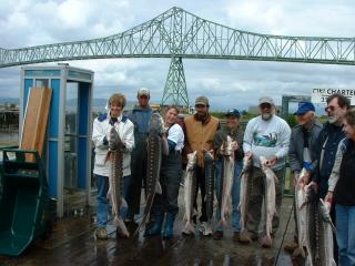 Fishermen with sturgeon catch