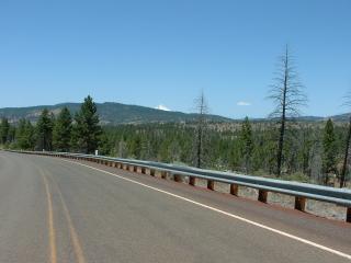 Warm Springs Desert