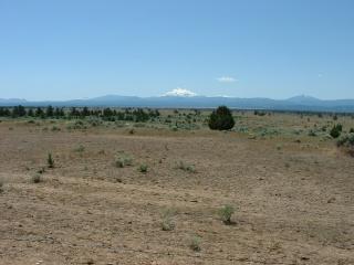 Warm Springs Desert