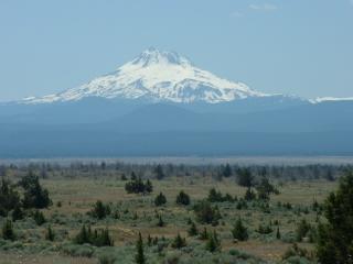 Mt. Hood