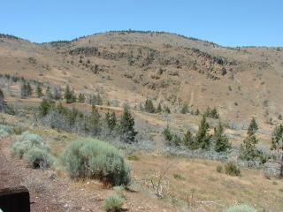 Warm Springs Desert