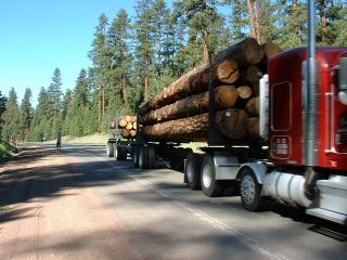 double log hauling truck
