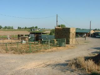 Typical small ranch home