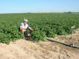 John in a sea of Idaho potatoes