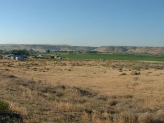 Scenic prairie view