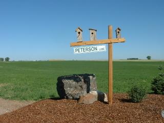 Cute mailboxes