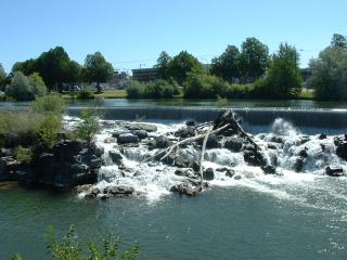 The Idaho Falls