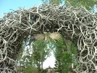 Elk Horn Arch in Jackson