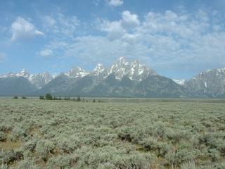 View of the Teton Mountains