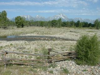 View of the Teton Mountains