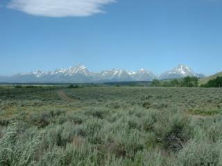 View of the Teton Mountains