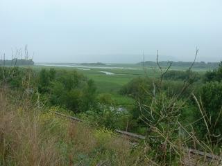 Scenic Mississippi River