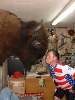 John meets a buffalo