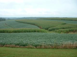 contour planting of corn and soybeans