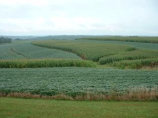 contour planting of corn and soybeans