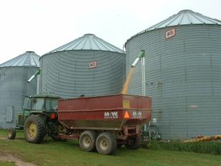 getting corn from storage bin