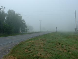 Dense morning fog