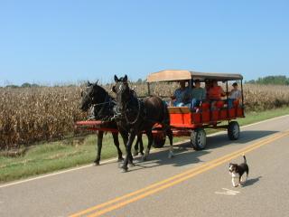 Folks going to a Labor Day party