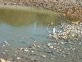 Fishing for catfish in Coldwater River