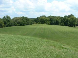 Emerald 'Natchez' Indian Mound